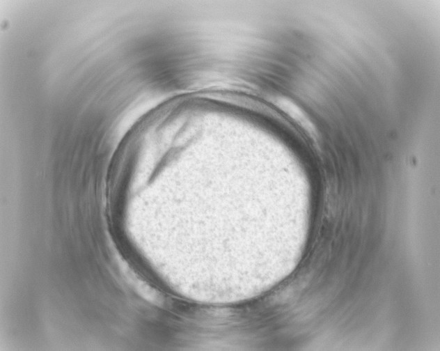 X0000088651431200706221559