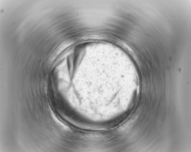 X0000088651433200706221559