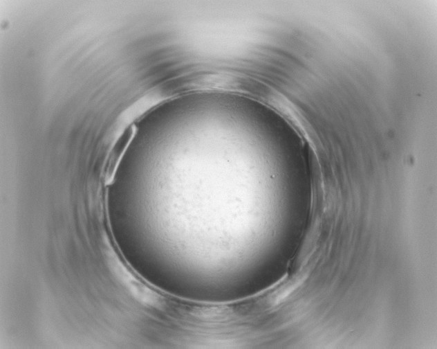 X0000088651434200706221559