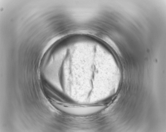 X0000088651436200706221559