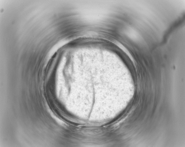 X0000088651437200706221559