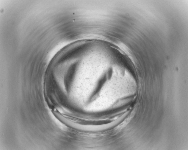 X0000088651438200706221559