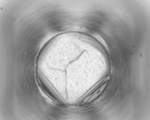 X0000088651439200706221559