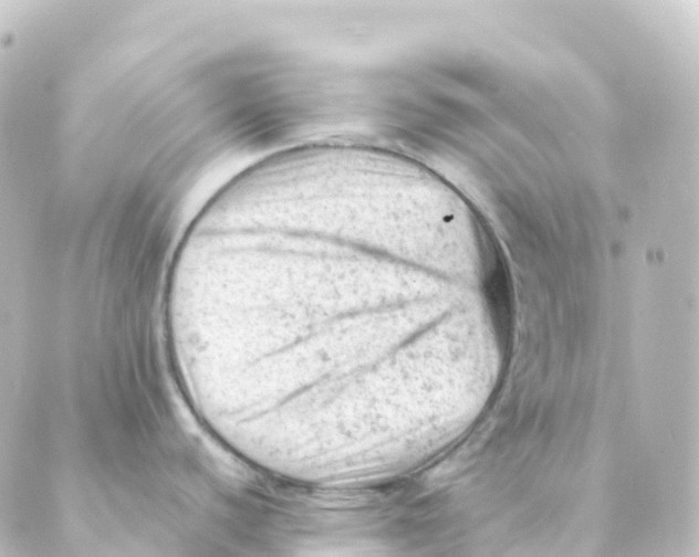 X0000088651440200706221559