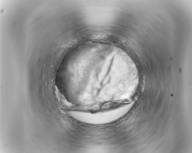 X0000088651441200706221559