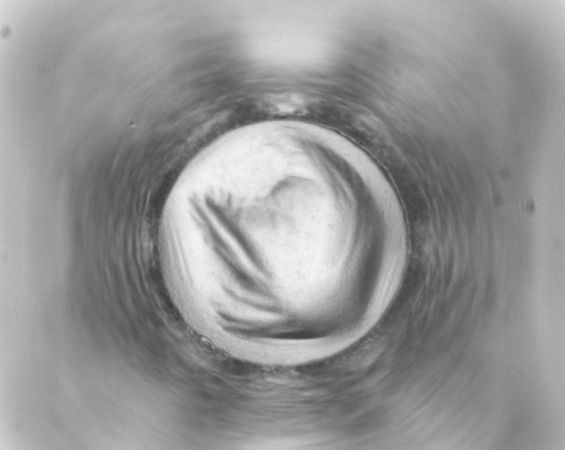 X0000088651442200706221559