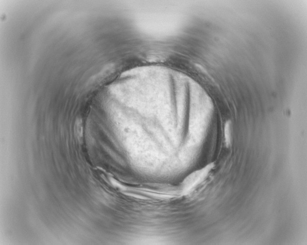 X0000088651443200706221559