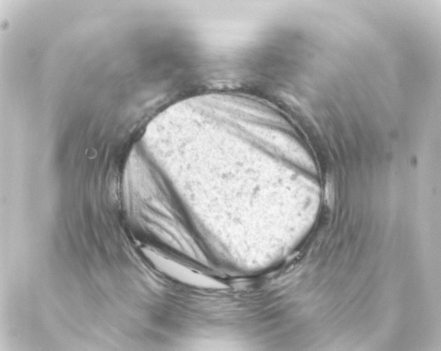 X0000088651444200706221559