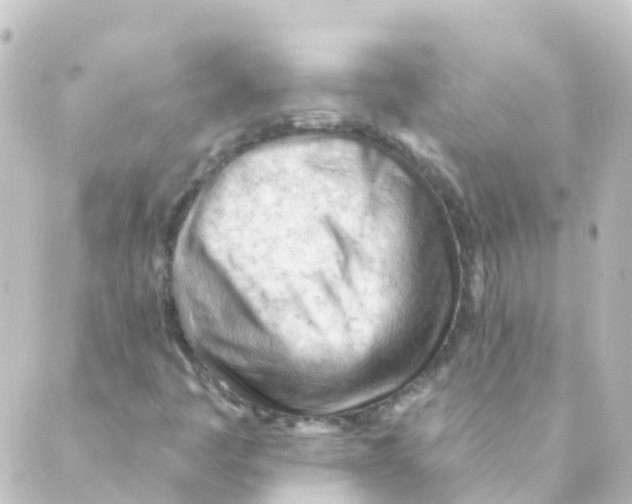 X0000088651445200706221559