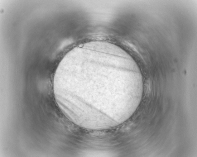 X0000088651446200706221559