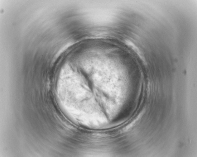 X0000088651449200706221559