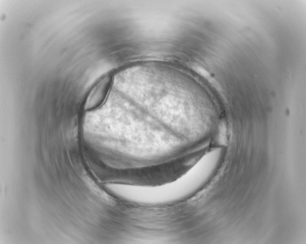 X0000088651450200706221558