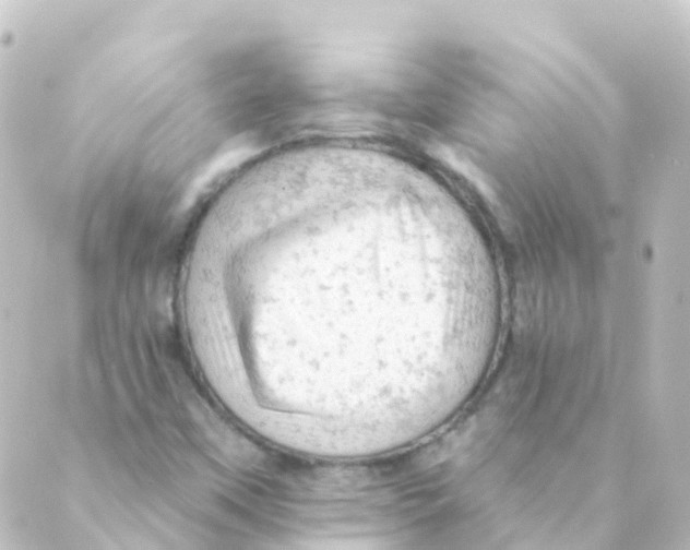 X0000088651451200706221558