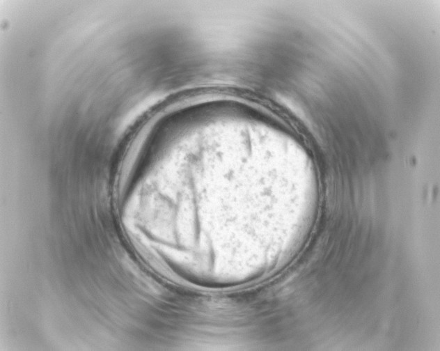 X0000088651452200706221558