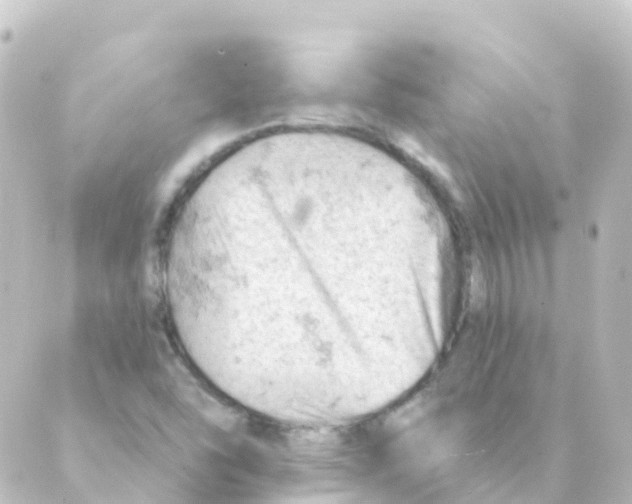 X0000088651454200706221558