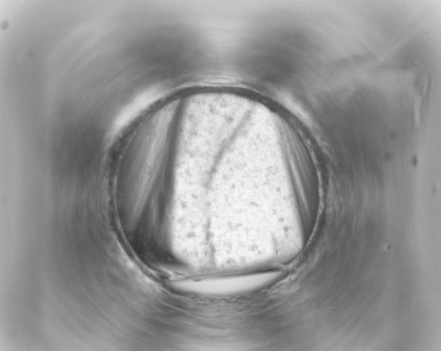 X0000088651456200706221558