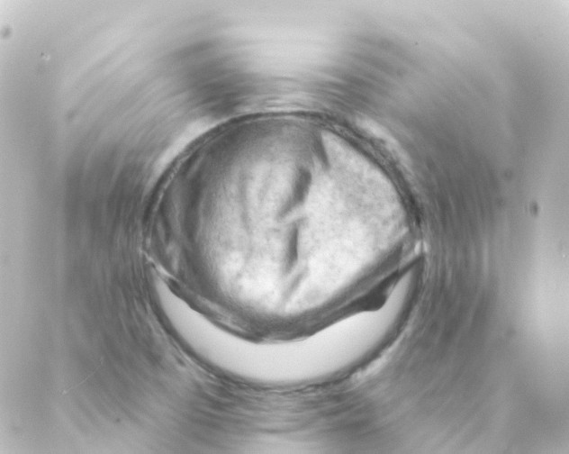 X0000088651457200706221558