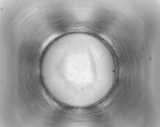 X0000088651458200706221558