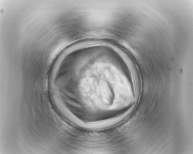 X0000088651459200706221558