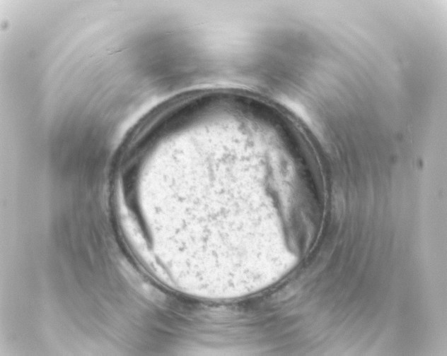 X0000088651460200706221558