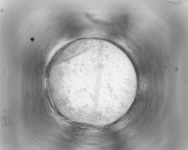 X0000088651462200706221558