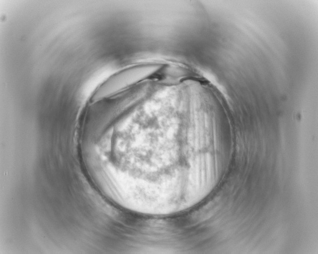 X0000088651463200706221558