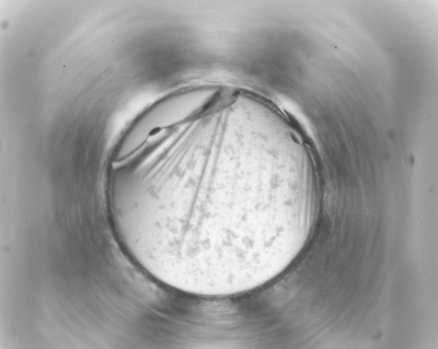 X0000088651464200706221558