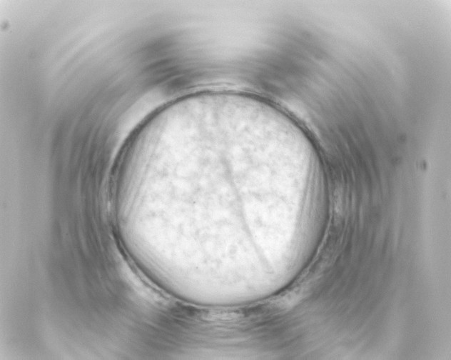 X0000088651466200706221558