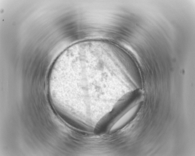 X0000088651467200706221558