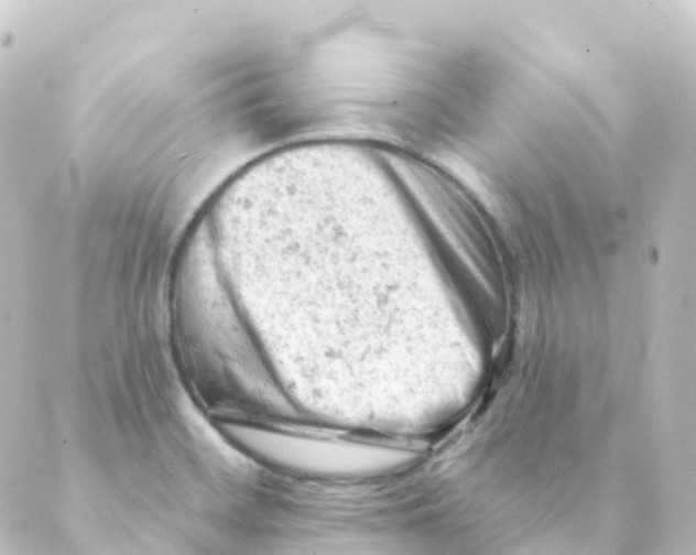 X0000088651468200706221558