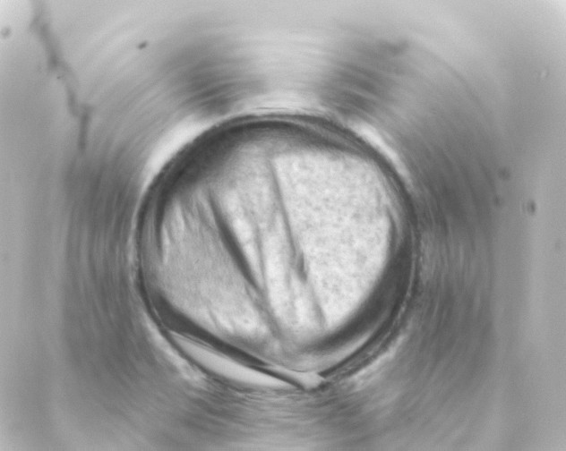 X0000088651469200706221558