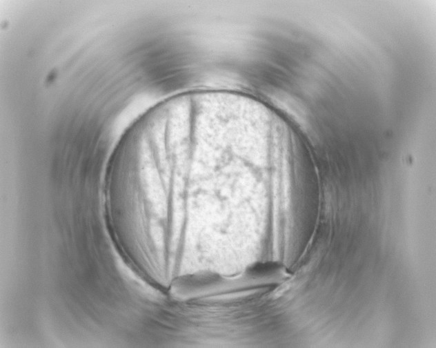 X0000088651471200706221558