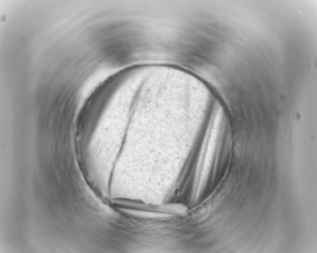 X0000088651472200706221558