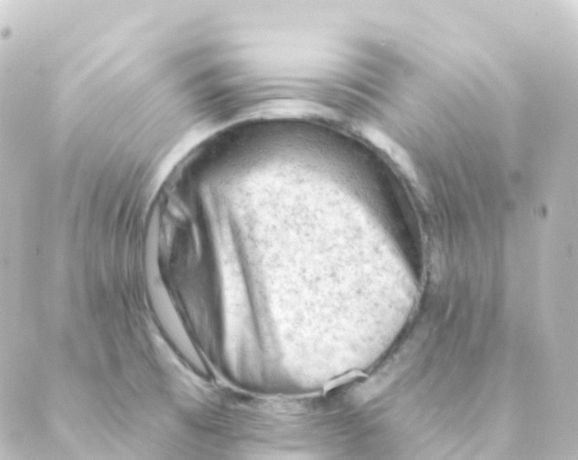 X0000088651473200706221558