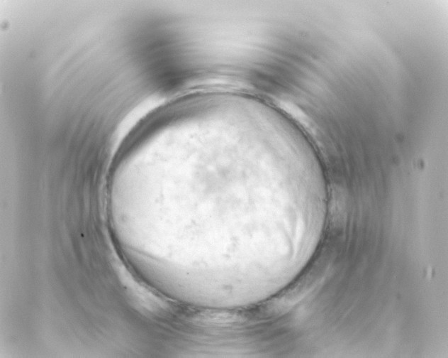 X0000088651474200706221558