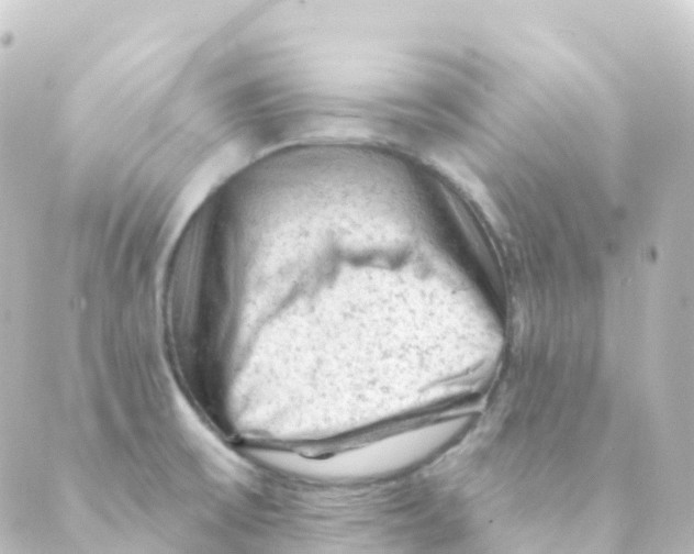 X0000088651475200706221558