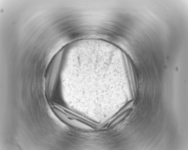 X0000088651476200706221558