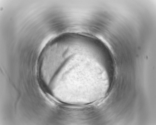 X0000088651477200706221558