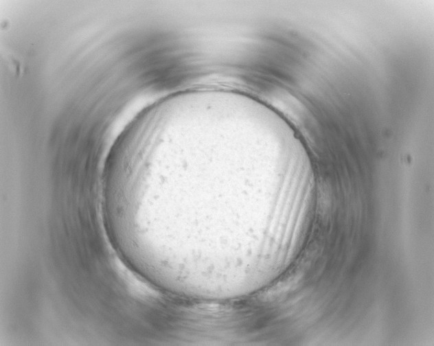 X0000088651478200706221558