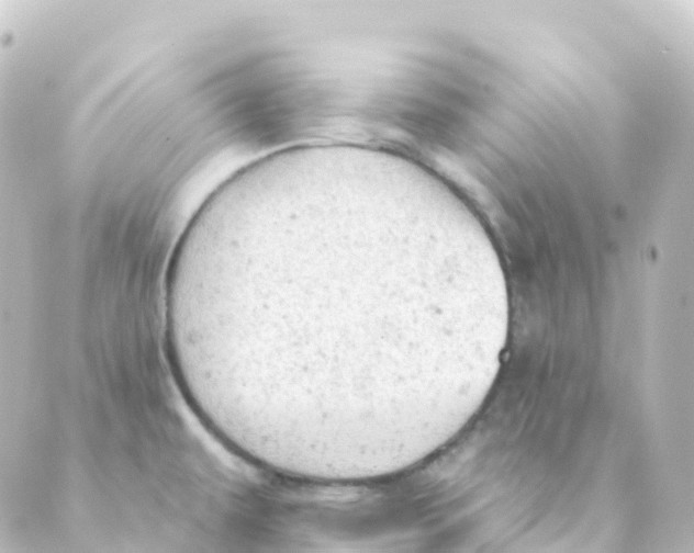 X0000088651479200706221558