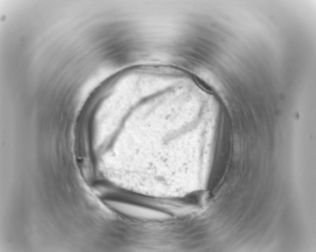 X0000088651480200706221558