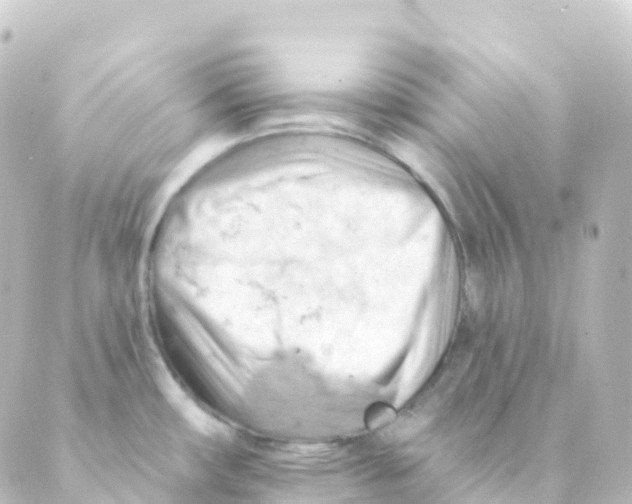 X0000088651482200706221558