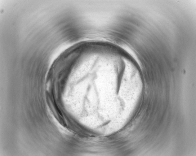 X0000088651485200706221558