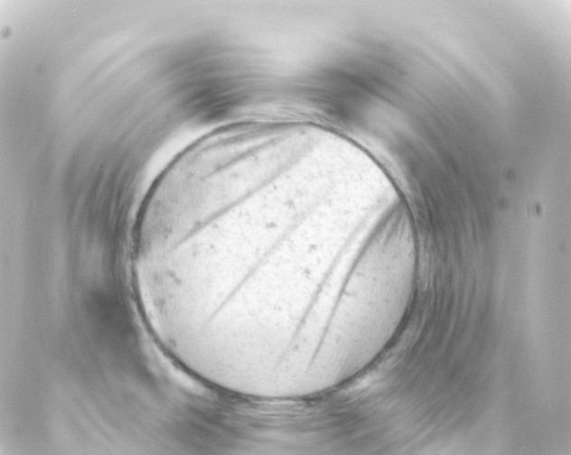 X0000088651486200706221558