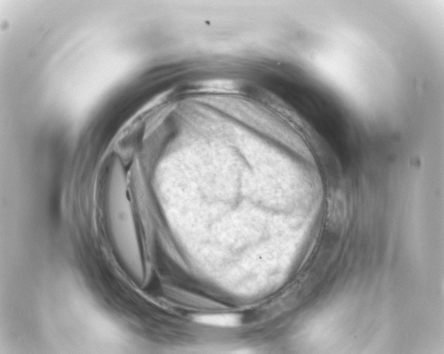 X0000088651487200706221558