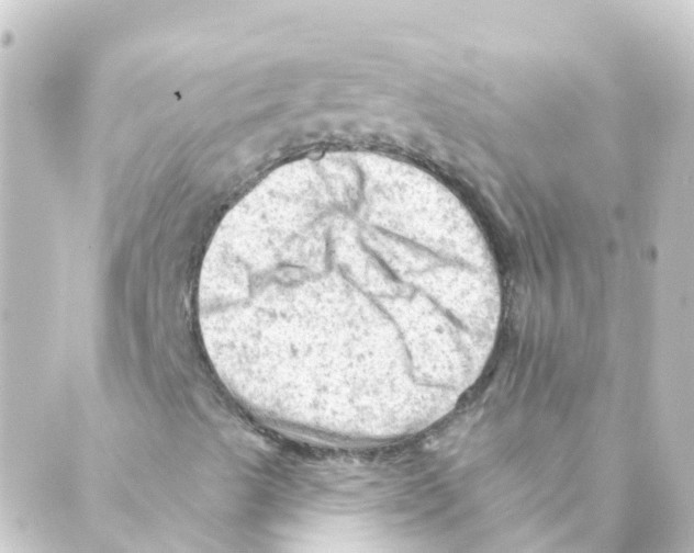 X0000088651489200706221557