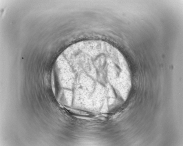 X0000088651490200706221557