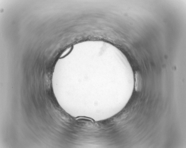 X0000088651491200706221557