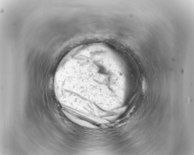 X0000088651492200706221557