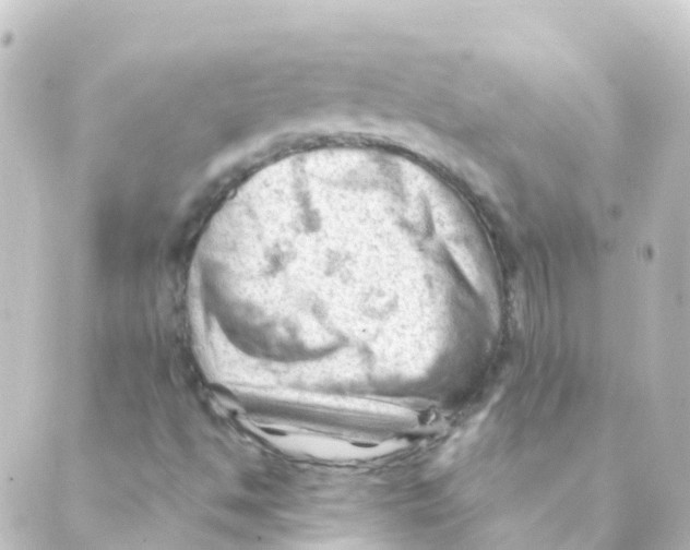 X0000088651494200706221557